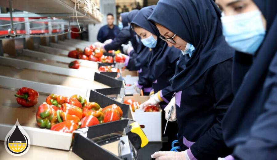صادرات إيران من المنتجات الزراعية والغذائية تشهد نموا بنسبة 23% خلال عام 2023