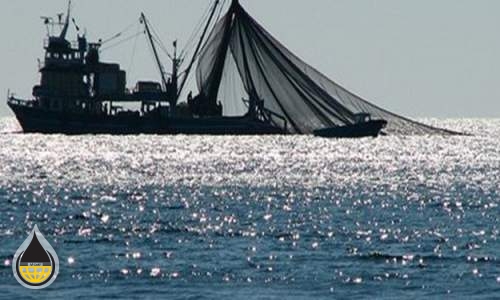 إيران تحتل المركز الأول في صيد سمك التونة في غرب المحيط الهندي