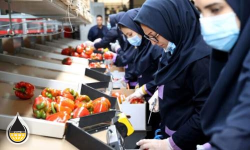 صادرات إيران من المنتجات الزراعية والغذائية تشهد نموا بنسبة 23% خلال عام 2023