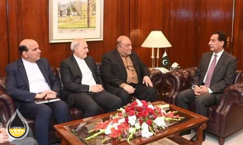 دیدار مدیرعامل شرکت ملی نفت ایران با رئیس مجلس پاکستان